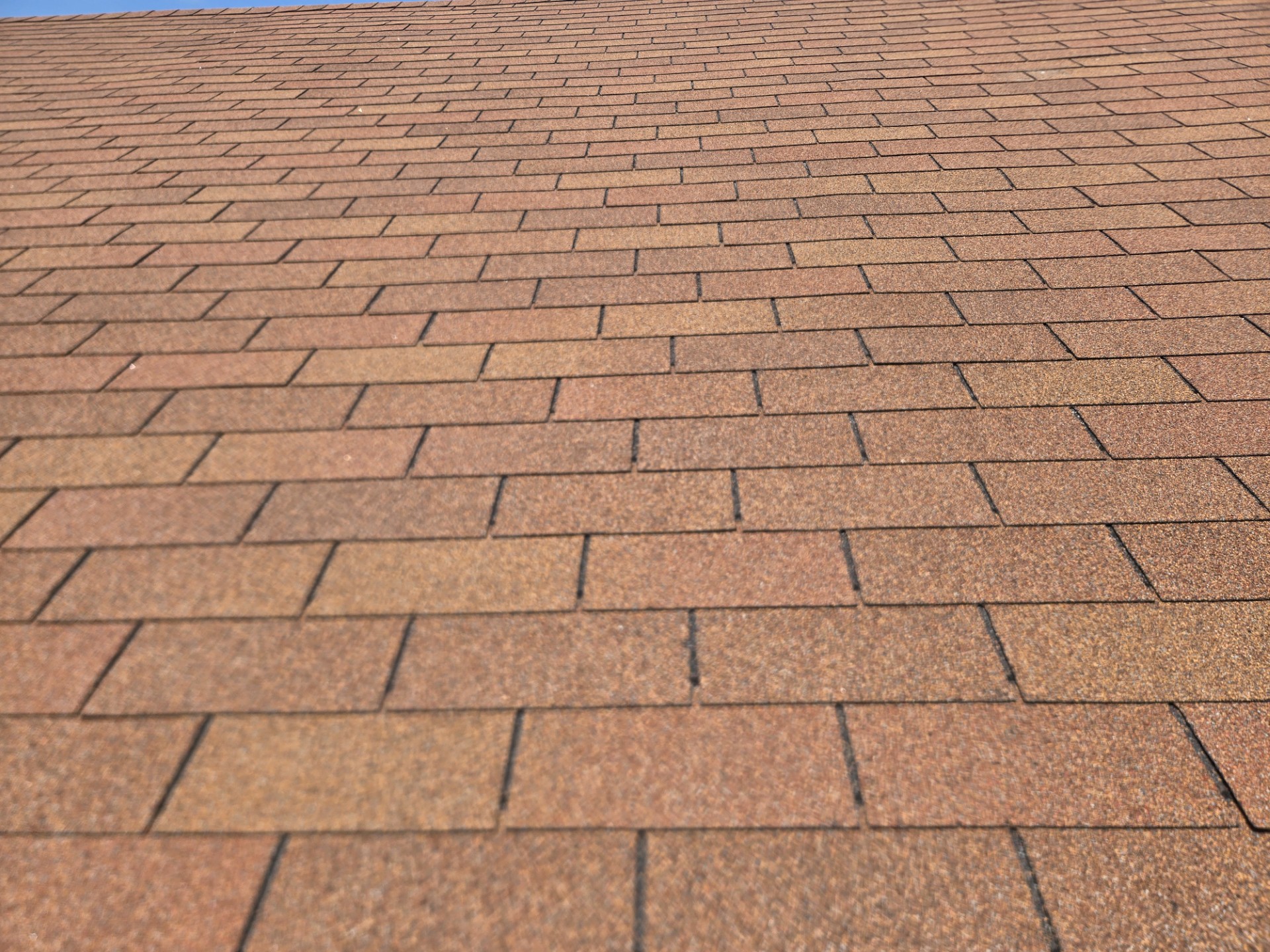 Close-up of real customer shingles showing hail impact damage — black spots where granules were knocked off before Hi-Tech Roof Solutions treatment